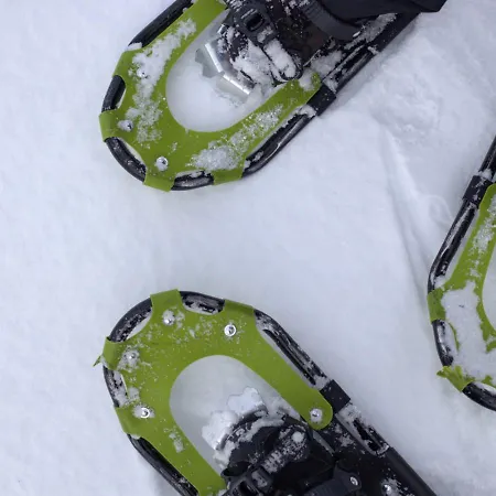 A Unique Arctic Retreat By Dg Lomailu 别墅