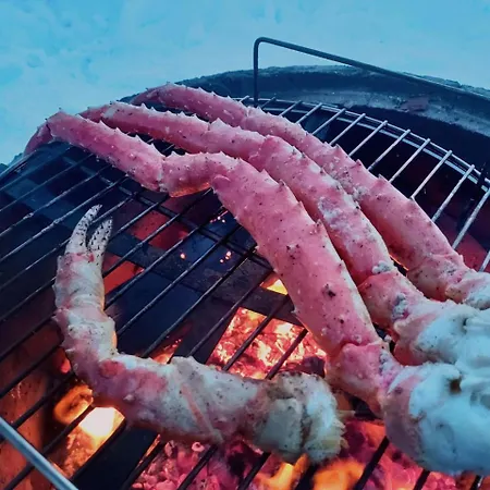 别墅 A Unique Arctic Retreat By Dg Lomailu Kyro