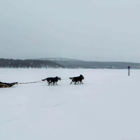 别墅 A Unique Arctic Retreat By Dg Lomailu *