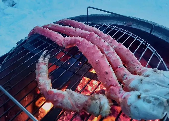 فيلة A Unique Arctic Retreat By Dg Lomailu Enontekiö